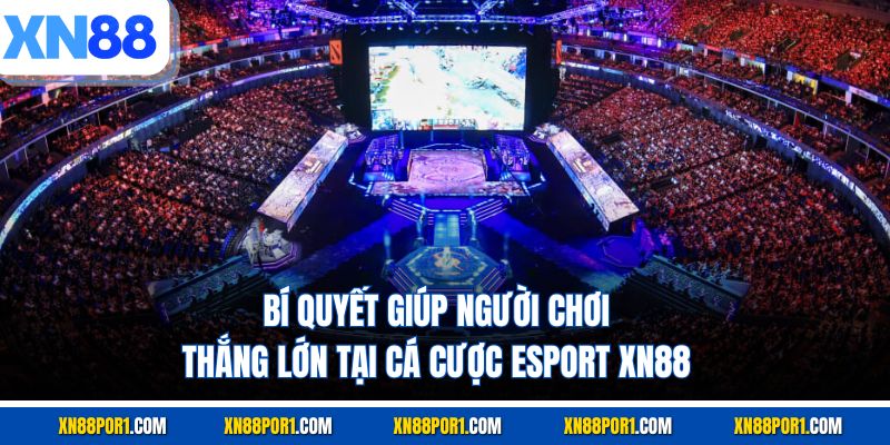 Bí quyết giúp người chơi thắng lớn tại cá cược Esport XN88