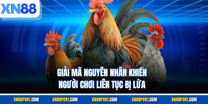Giải mã nguyên nhân khiến người chơi liên tục bị lừa