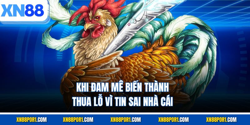 Khi đam mê biến thành thua lỗ vì tin sai nhà cái