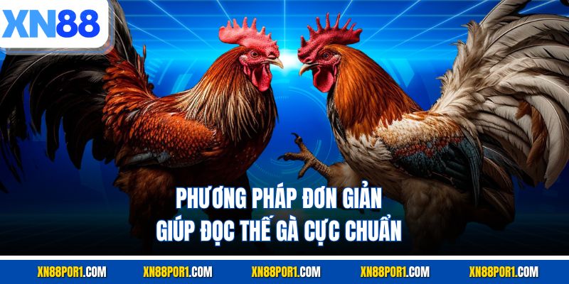 Phương pháp đơn giản giúp đọc thế gà cực chuẩn
