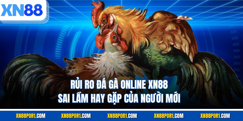 Rủi ro đá gà online XN88 cho bạn mới tham gia