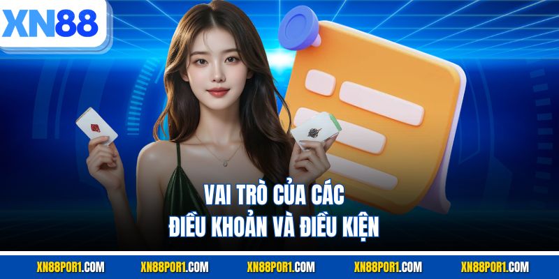 Vai trò của các điều khoản và điều kiện